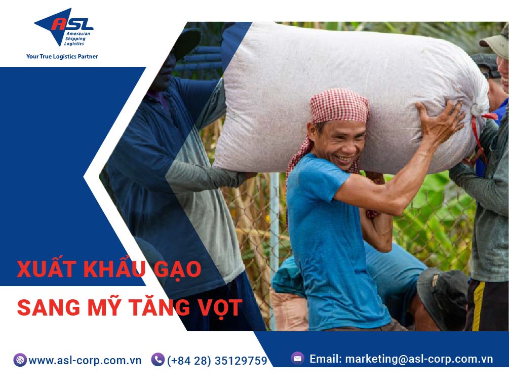 XUẤT KHẨU GẠO SANG MỸ TĂNG VỌT