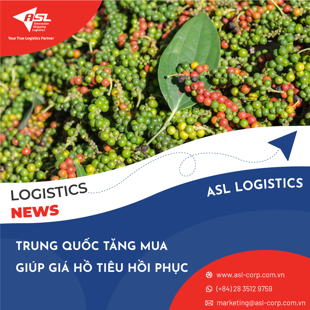 TRUNG QUỐC TĂNG MUA GIÚP GIÁ HỒ TIÊU HỒI PHỤC